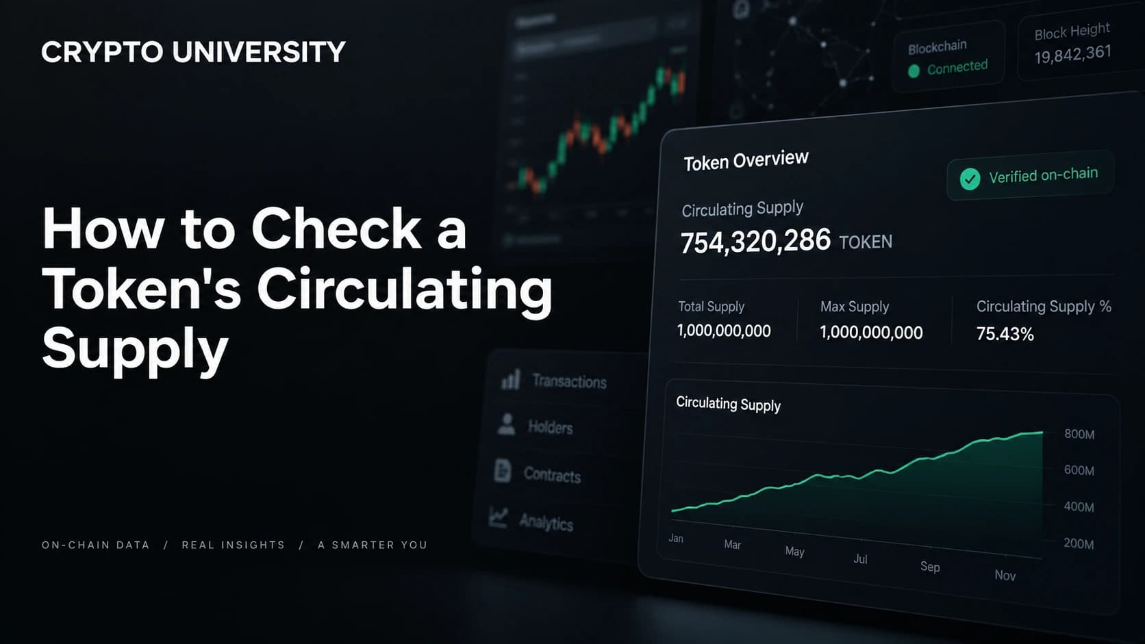 How to Check a Token's Circulating Supply