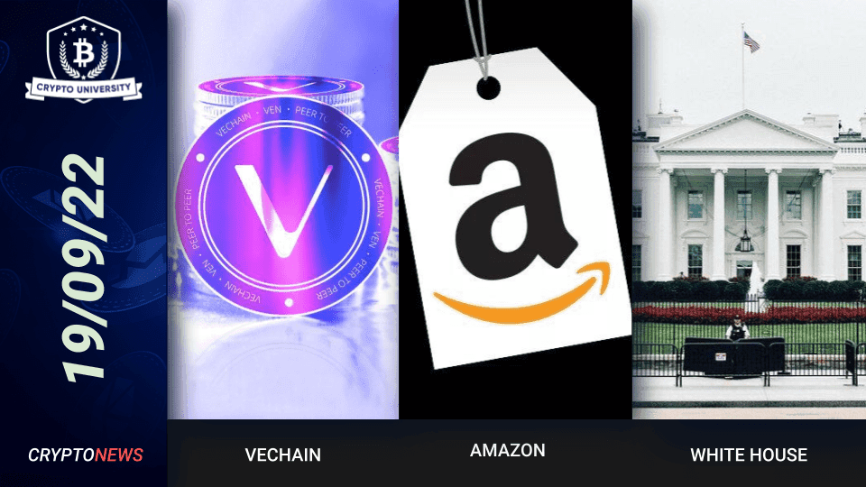 <strong>VeChain Partners With UCO Networks, Amazon To Develop Digital Euro, White House Crypto Regulatory Framework</strong>