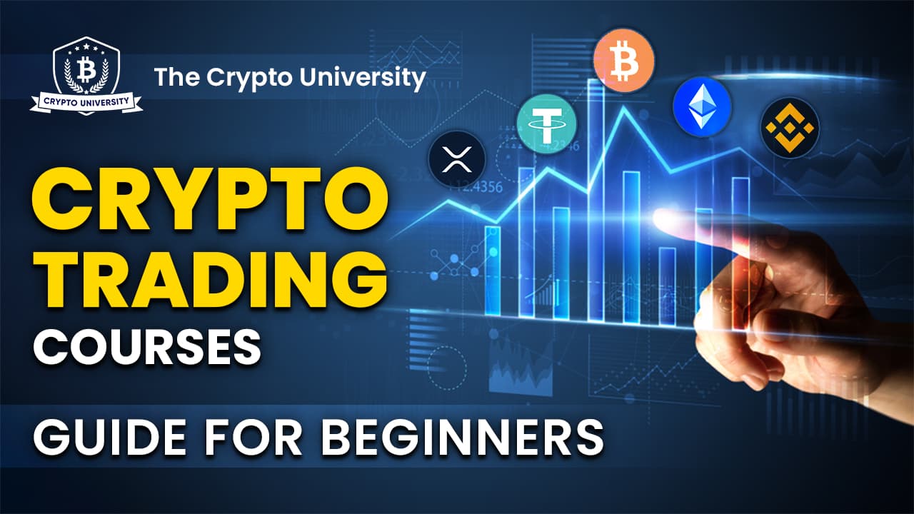 The top crypto trading courses for beginners— Crypto University