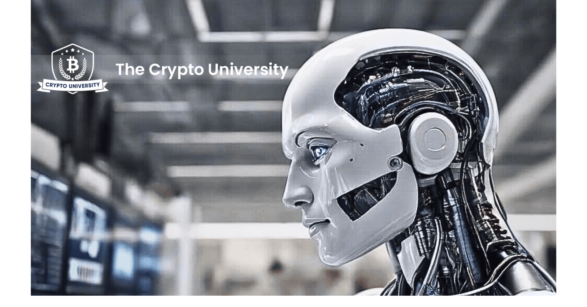 THE ENVIRONMENTAL FOOTPRINT OF AI: NEW STUDY HIGHLIGHTS IMAGE GENERATION COST