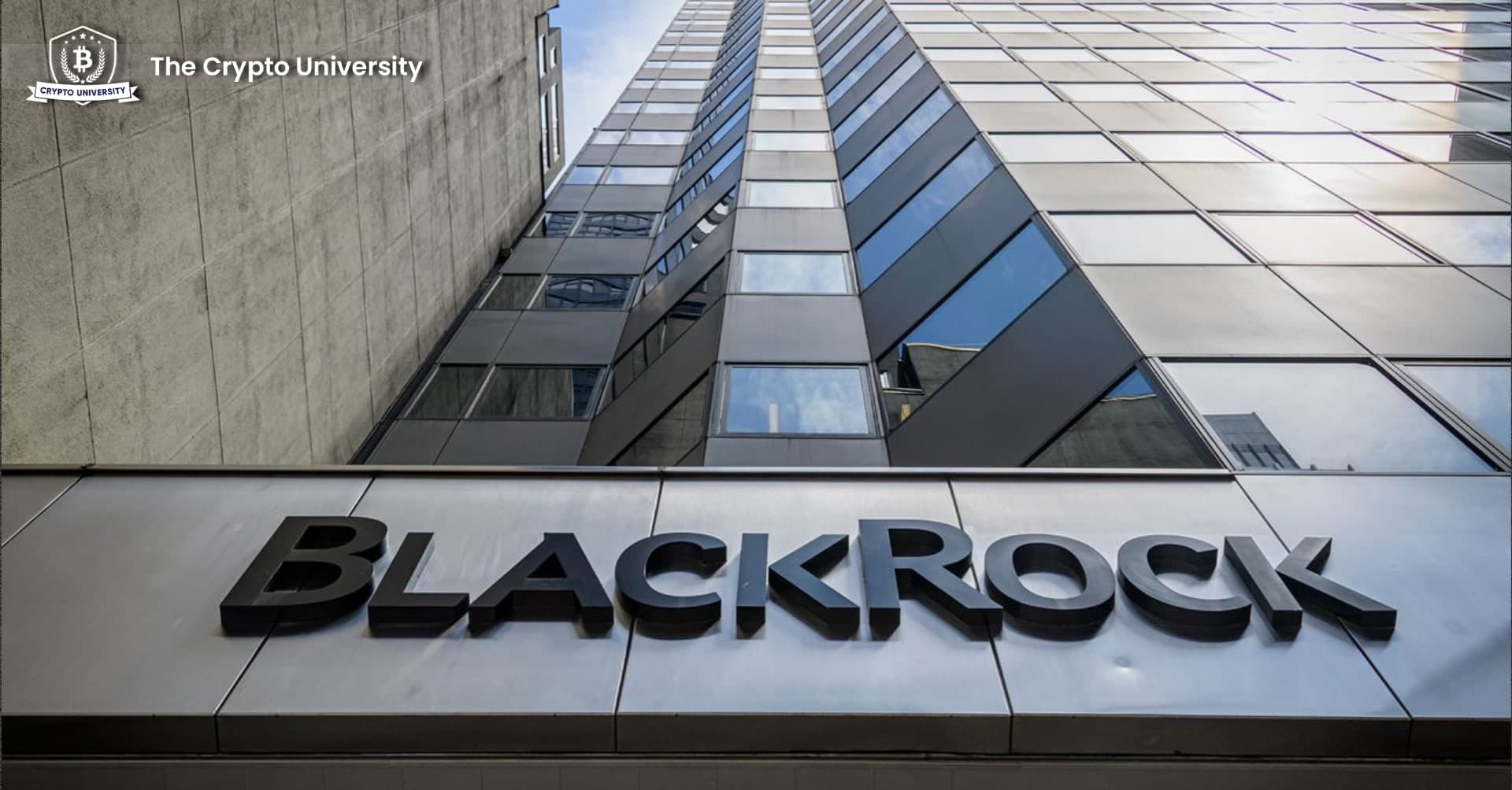 BlackRock and Fidelity in Talks with SEC for Potential Bitcoin ETF Approval