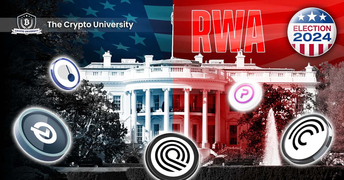 RWAs on US election: Voters Sentiment