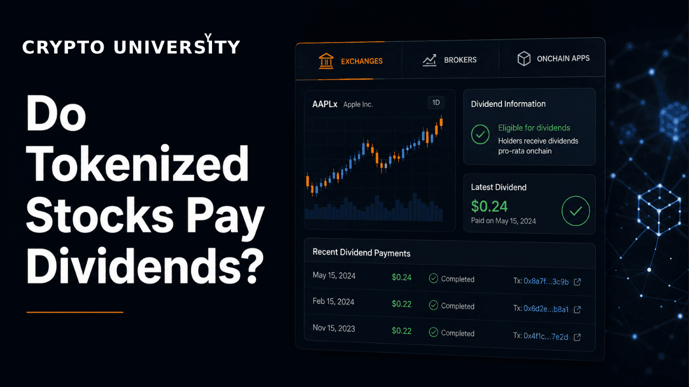Do Tokenized Stocks Pay Dividends? How xStocks and Stock Tokens Handle Payouts