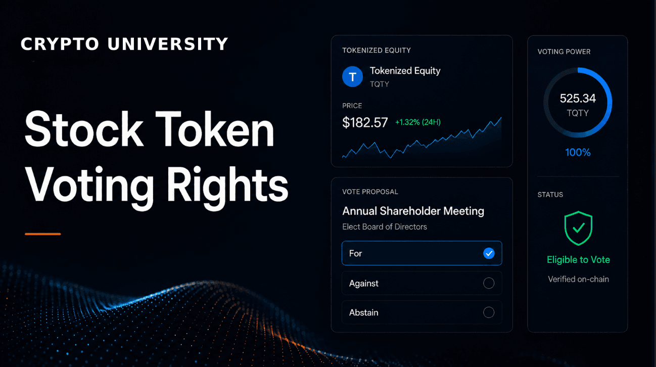 Do Tokenized Stocks Give You Voting Rights or Real Share Ownership?