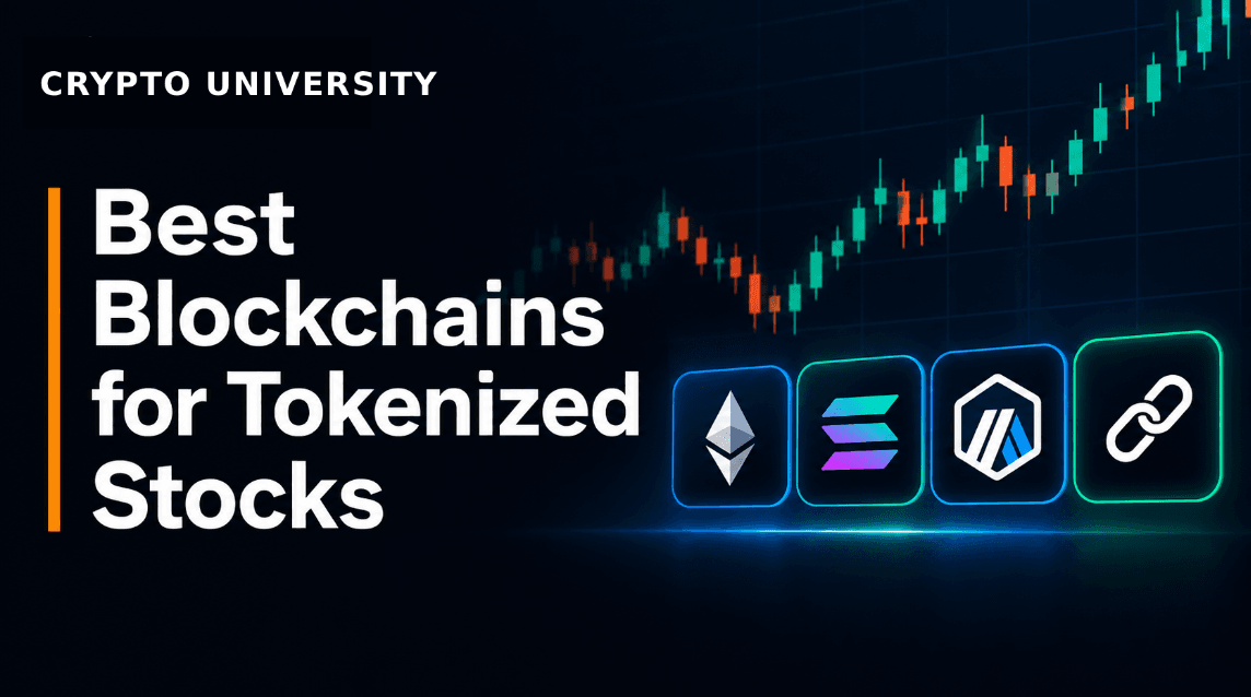 Best Blockchains for Tokenized Stocks: Solana, Ethereum, Arbitrum and More