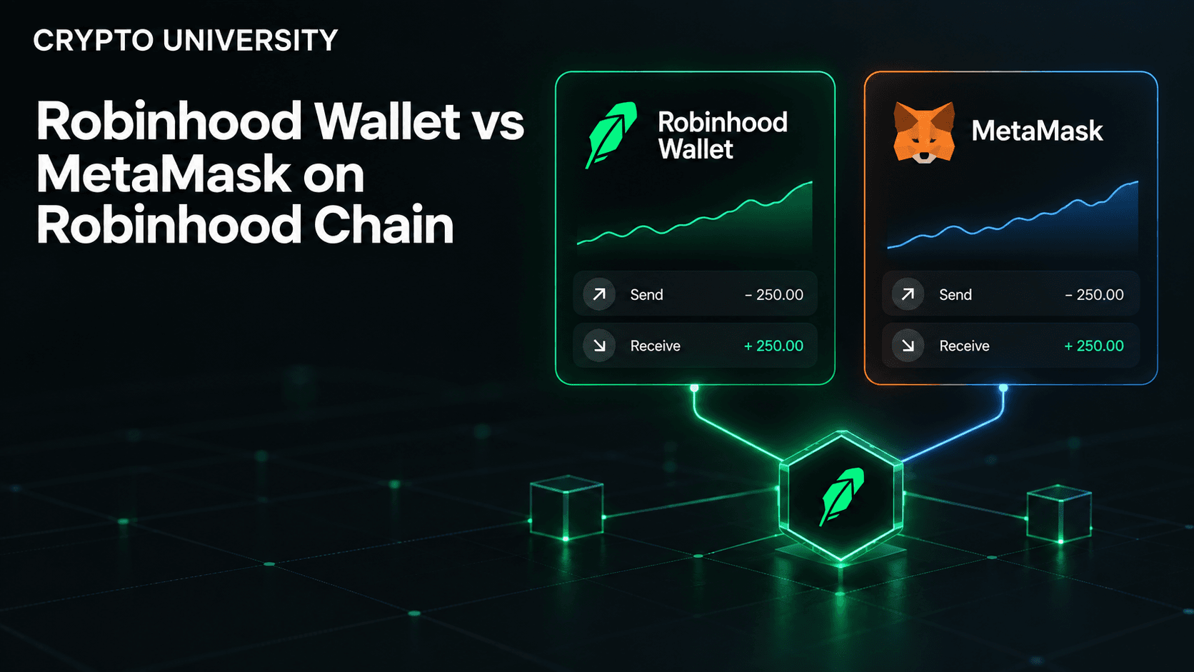 Robinhood Wallet vs MetaMask on Robinhood Chain