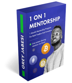 1 on 1 mentorship